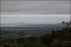View on West Auckland