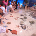 Okinawa Churaumi Aquarium - Japan
