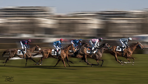 Longchamp Horse Racecourse- Paris, France - Hippodrome de Longchamp