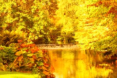 Autumn at Mount Usher Gardens, County Wicklow, Ireland
