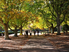 A Fall Afternoon at William & Mary
