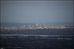 View on Auckland