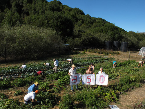 在Walker Creek牧場中志工協助農場除草、種植、堆肥等，並參與350的宣言活動（Photo by Caroline Kraus 照片來源：350.org）