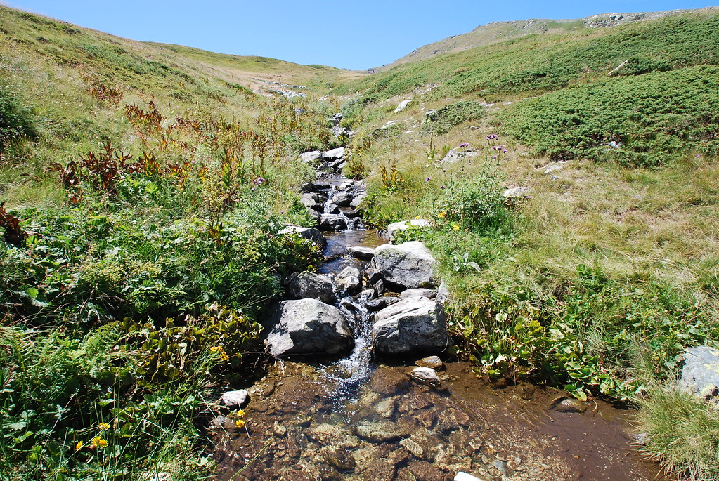 Stream in Pelister National Park