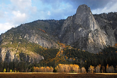 Yosemite - 2010