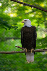 Seneca Park Zoo