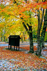 Fall Foliage New Hampshire
