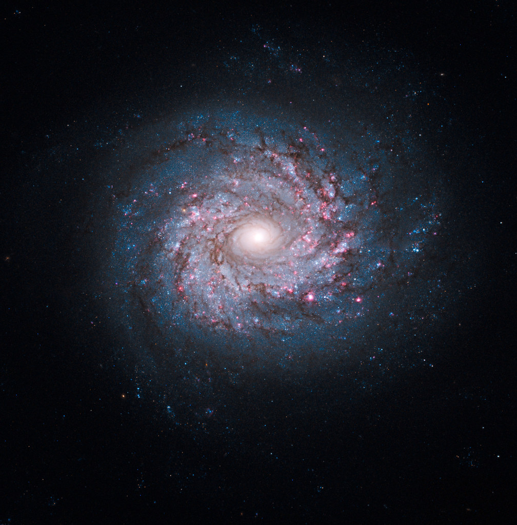 Hubble Sees Pinwheel of Star Birth