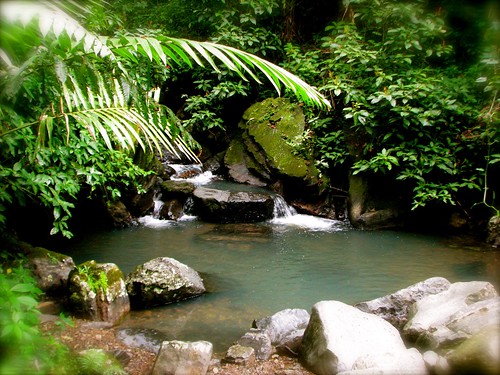 El Yunque Rainforest