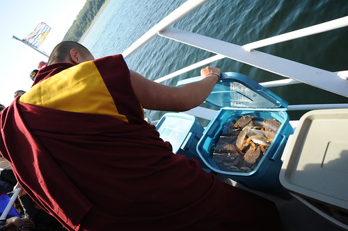 Dilgo Khyentse Yangsi Rinpoche, Tibetan Buddhist lama-monk in robes, looking at the water cooled crabs, purchased from food supplier, for Semchen Tsethar Tangpa, Life Release Ceremony, flag, Vancouver BC, Lotus Speech Canada by Wonderlane