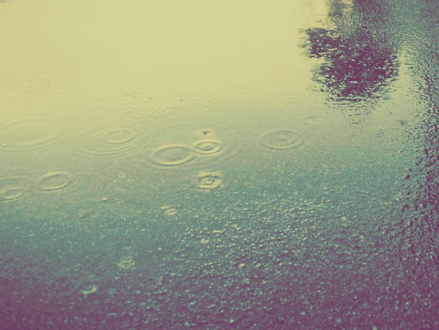 Vintage Rain 19