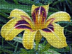 Adobe Photoshop Mosaic Tiled Creations