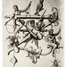 024-Letra Z-Neiw Kunstliches Alphabet 1595- Johann Theodor de Bry
