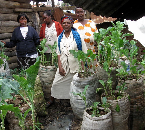 Women from Soweto Forum showing their urban garden