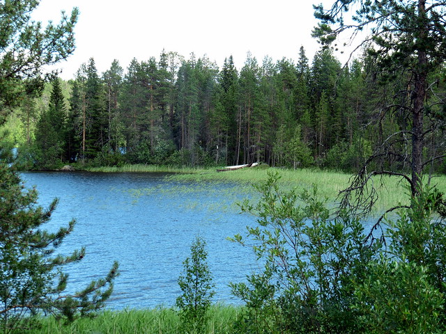 Lake In Kuusamo, Lapland by RukaKuusamo.com, on Flickr