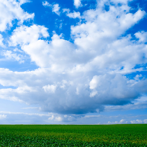 無料写真素材|自然風景|田園・農場|空|雲|青空