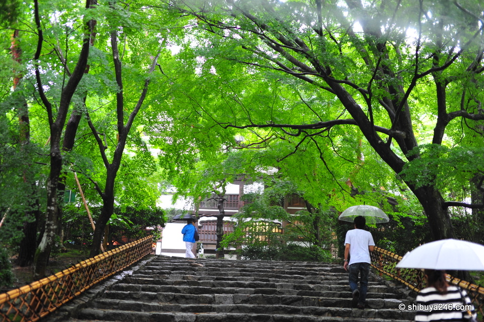 Climbing the stairs to the Temple