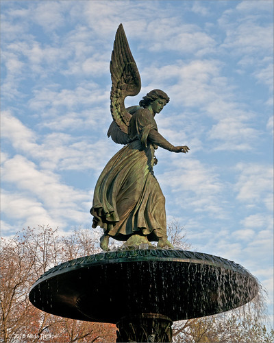 Angel of Waters by Alida's Photos