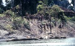 Nuova Guinea Indonesiana 1981