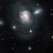 Spiral Galaxy NGC 4911