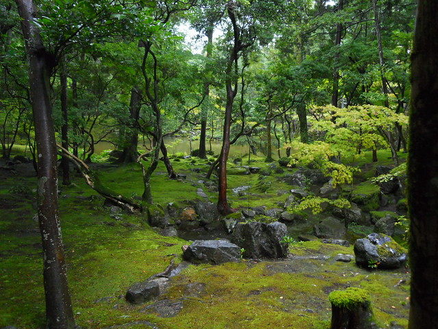 On the Grounds of Kokedera (Moss Temple) - Kyoto