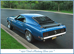 Dale's 1970 Mustang Boss 302