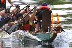 Cornwall Waterfest Dragon Boat Races