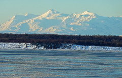 Alaska - Winter shots, January 2010