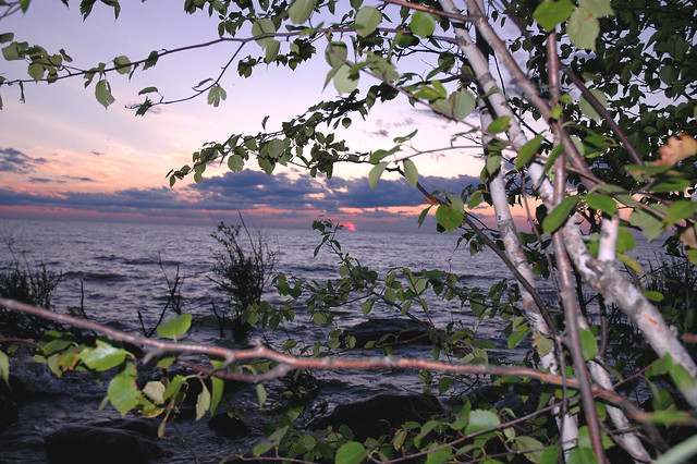 Sunset and trees at Lake Winnipeg