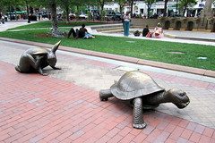 Boston sculpture: the tortoise and the hare