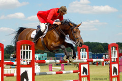 Show Jumping and Cross Country
