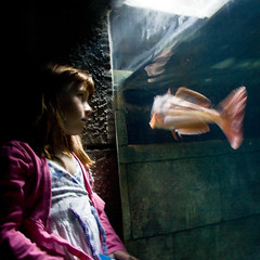 Sea World London Aquarium