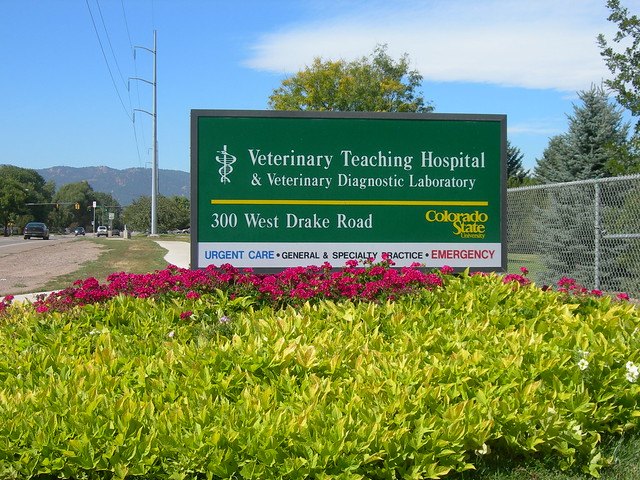 CSU Veterinary Teaching Hospital