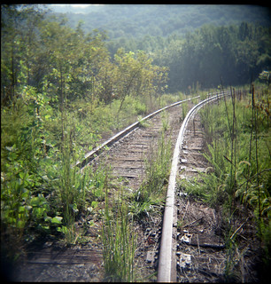 Overgrown railroad siding. Red Hill VA, September 2010