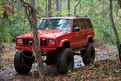 Jeeps in the Woods