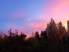 Sunset in Feldbrunnen, Switzerland