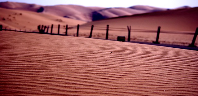 Liwa desert dunes, UAE