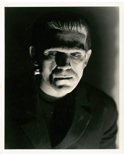 Frankenstein (Universal, 1931) 2 by Aeron Alfrey