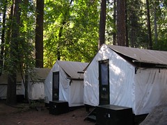 Camp Curry