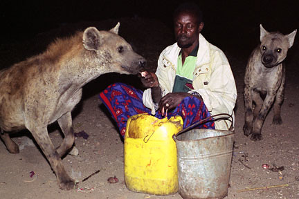 Hyena Man Ethiopia