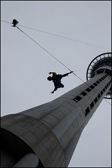 Bungy jumping from the Sky Tower !