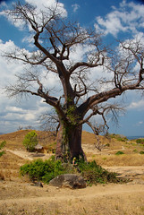 Malawi 2010