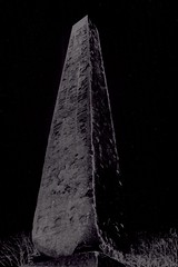 NYC - Central Park Obelisk