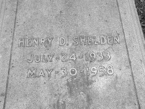 Henry D, Shelden III, son of Henry Shelden II. by Sunshine Gorilla