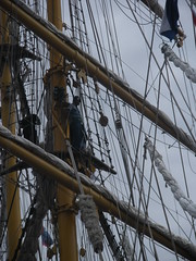 Tall Ships 2010