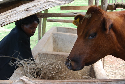 Florence Chepkirui, a blind dairy farmer in Saoset village in Kenya's Bomet County