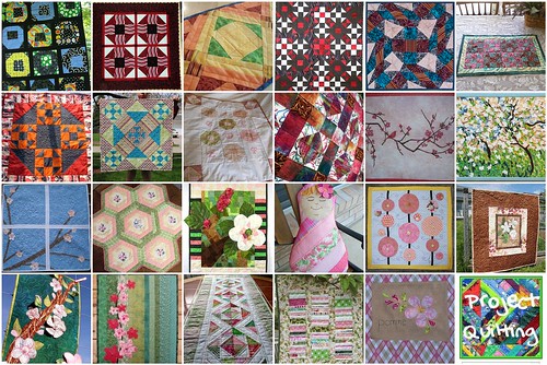 Pre Season Project QUILTING Challenge Projects
