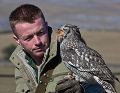 Yorkshire Dales Falconry