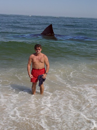 right before he got smacked on the bum by the shark behind him