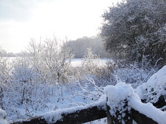 York in the Snow Winter 2010